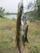 IMG_0166.JPG