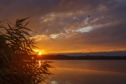 IMG_0531_resize.jpg
