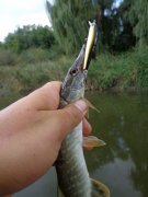 DSC01490.JPG