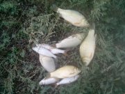 IMG_20130902_165040.jpg