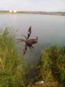 IMG_20130902_164420.jpg