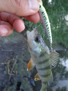 DSC01492.JPG
