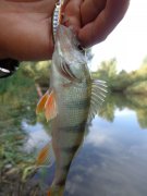 DSC01502.JPG