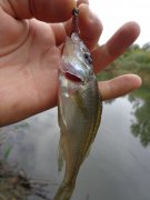 DSC01505.JPG