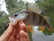 DSC01514.JPG