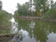 DSC01517.JPG