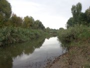 DSC01518.JPG