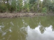 DSC01520.JPG