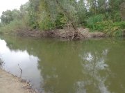 DSC01521.JPG