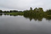 DSC_0909.JPG
