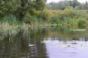 DSC_0913.JPG