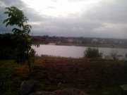 IMG_20130908_152033.jpg