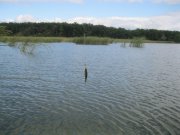 IMG_0187.JPG