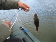 IMG_0190.JPG