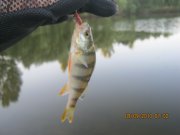 IMG_0733.JPG