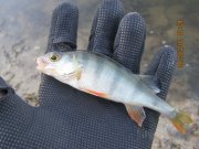 IMG_0734.JPG