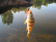 IMG_0736.JPG
