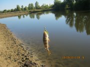 IMG_0740.JPG