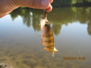 IMG_0741.JPG