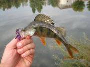 IMG_0743.JPG