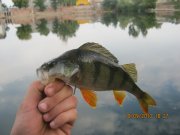 IMG_0744.JPG