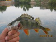 IMG_0745.JPG