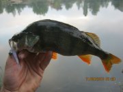 IMG_0746.JPG