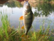 IMG_0747.JPG