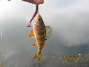 IMG_0748.JPG