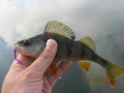 IMG_0750.JPG