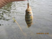 IMG_0751.JPG