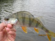 IMG_0752.JPG