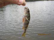 IMG_0754.JPG