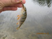 IMG_0755.JPG
