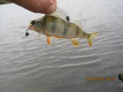 IMG_0756.JPG