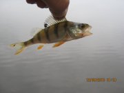 IMG_0759.JPG