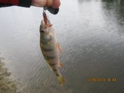 IMG_0761.JPG