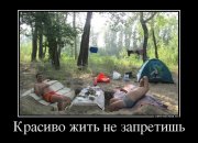 4730745_krasivo-zhit-ne-zapretish.jpg