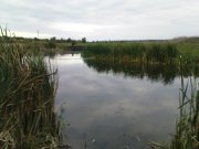 DSC08814.JPG