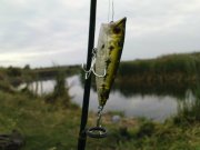 DSC08816.JPG