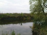 DSC08815.JPG