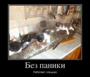 1379064560_demki-13[1].jpg