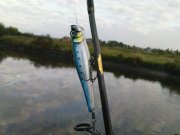 DSC08823.JPG