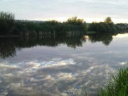 DSC08824.JPG