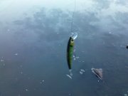 DSC08826.JPG