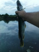 DSC08828.JPG