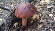 DSC05559.JPG