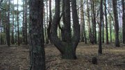 DSC05562.JPG