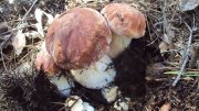 DSC05563.JPG