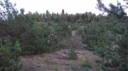 DSC05570.JPG